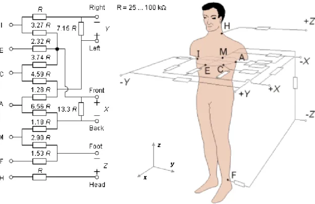 Figure 2.5: Electrode placement in the Frank VCG system 3 . 2.2.2 Common ECG Acquisition Settings
