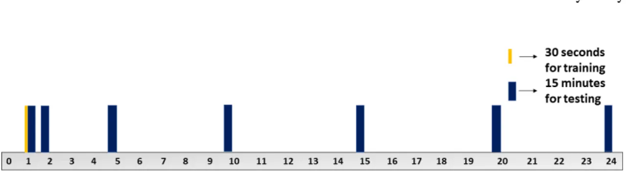 Figure 6.3: The blue and red rectangles represents the intervals of the signal that were used for training and classification.