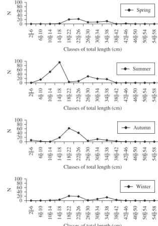 Figure 2. Numeric distribution in the total length classes of  Cichla kelberi (Leme, SP) for each season.