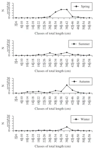 Figure 4. Numeric distribution in the total length classes of  Cichla  piquiti  (Volta  Grande  Reservoir,  SP-MG)  for  each  season.