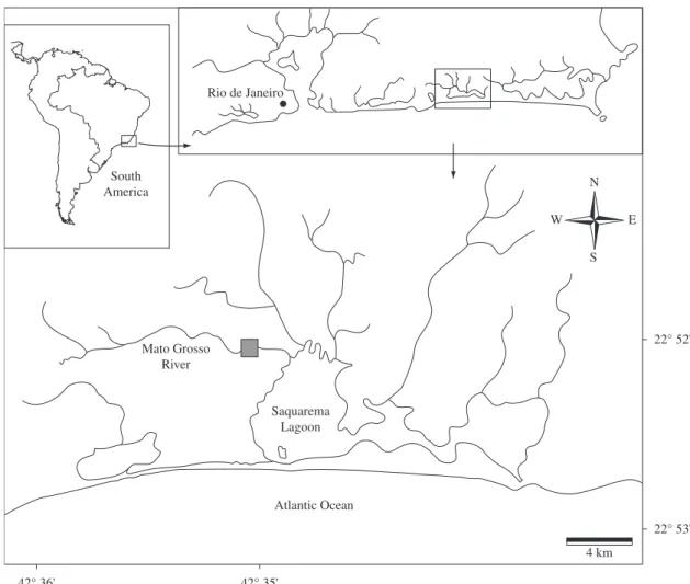 Figure 1. Mato Grosso fluvial system with indication of the sample site (grey square)