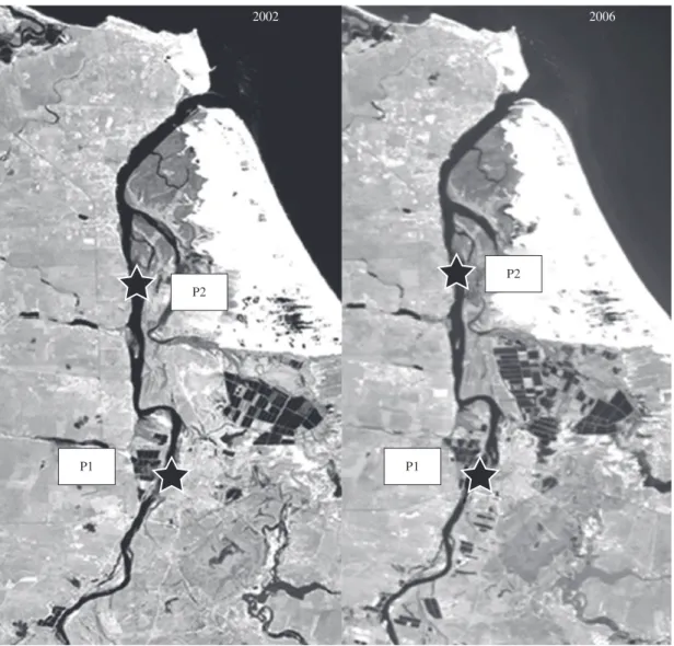 Figure 1. The Jaguaribe River estuary, NE Brazil in 2002 and 2006, showing the expansion of intensive shrimp farming and  sampling points.