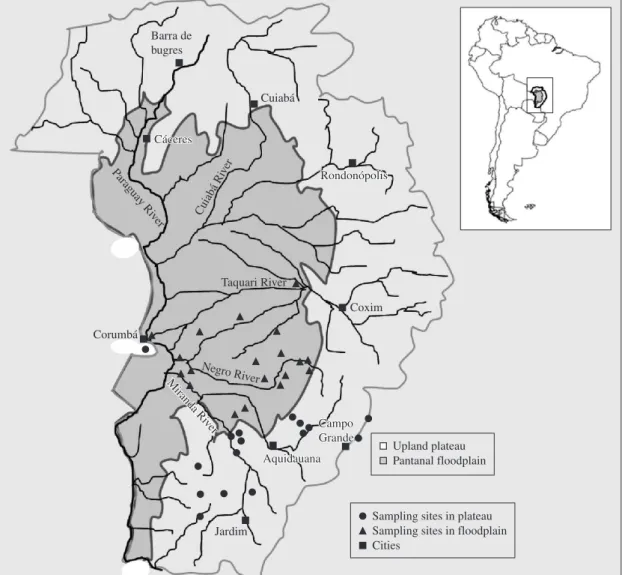 Figure 1. Sampling sites in the Pantanal floodplain (triangles) and in the neighbouring Cerrado upland plateaus (black  circles), and cities (grey circles) in Mato Grosso do Sul, Brazil.