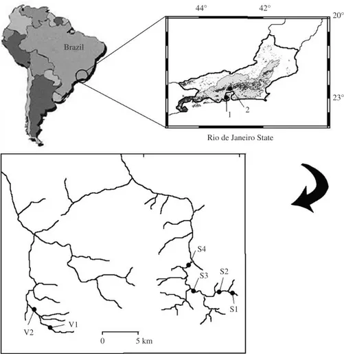 Figure 1. Map of Rio de Janeiro state, Brazil. Light grey areas indicate original limits of the Atlantic rainforest and dark grey  areas indicate forest remnants