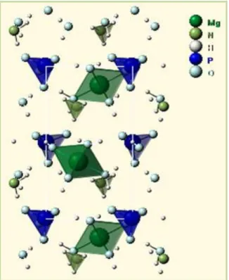 Figura  1.7. Estrutura cristalina da estruvite  [42] .