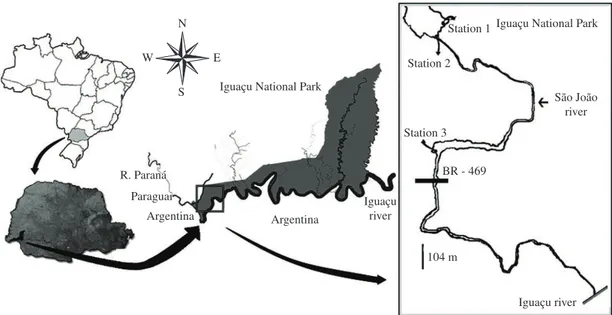 Figure 1. Location of the São João River, Iguaçu National Park, Paraná, Brazil.