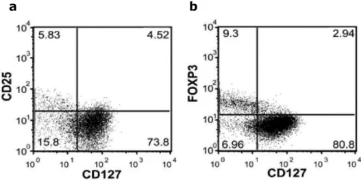 Figura  7  --  Expressão  de  FoxP3  nos  diferentes  subgrupos  de  células  T  humanas  CD4 + CD127 +/- 