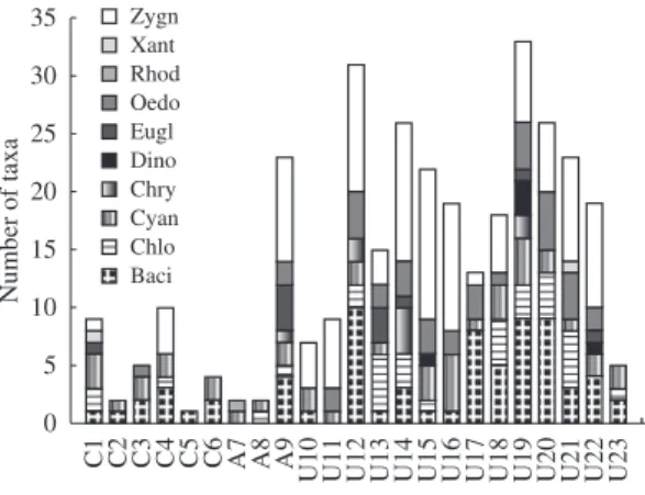 Figure 3. Richness of the epiphytic algae classes in  each  studied  Palm  swamp  (Zygn  -  Zygnemaphyceae,  Xant - Xanthophyceae, Rhod - Rhodophyceae, Oedo  - Oedogoniophyceae, Eugl- Euglenophyceae, Dino -  Dinophyceae, Chry - Chrysophyceae, Cyan - Cyanop