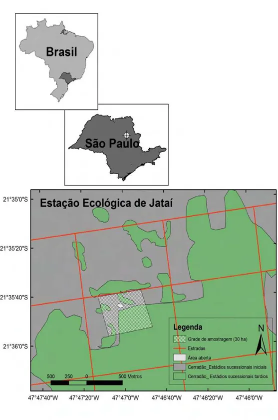 Figura 3  – Mapa do Brasil acima (estado de São Paulo em destaque), mapa do estado de São Paulo  no meio (município de Luiz Antônio em destaque) e abaixo parte da Estação Ecológica do Jataí onde  está localizada a área de estudo (área rachurada)