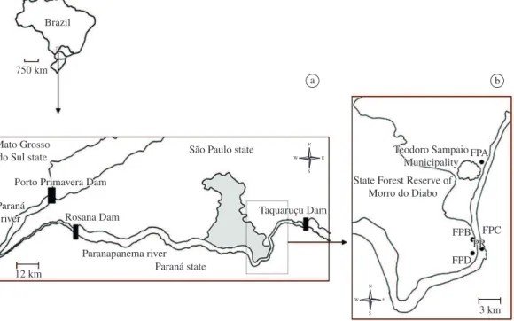 Figure 1. Study  area  in  the  region  of  the  confluence  of  Paraná  and  Paranapanema  Rivers  (states  of  São  Paulo  –  SP,  Paraná – PR and Mato Grosso do Sul – MS) showing the positioning of Rosana, Taquaruçu and Porto Primavera dams  and the Sta