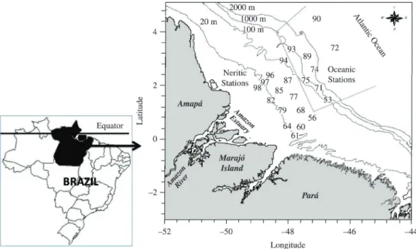 Figure 1. North Brazilian coast map depicting the sampling stations.