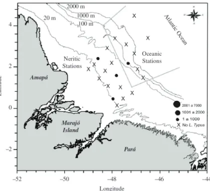 Figure 7. Density variation of L. typus at sampling stations during the North IV Operation, REVIZEE programme.