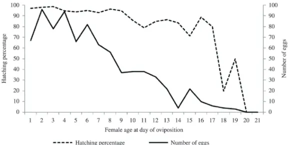 Figure 3. Rhythm of oviposition of laboratory-reared Chelopistes meleagridis females kept under laboratory conditions  (35 °C, RH&gt; 80% and escotophase) in relation to age of the couples (days).