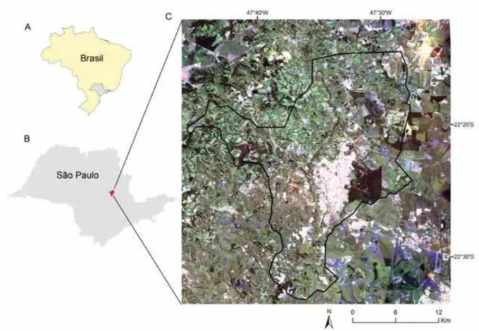 Figura 1. Localização da área de estudo na região de Rio Claro no Estado de São Paulo (B)