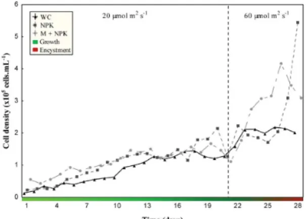 Figure 1 shows that there were significant differences  with regard to the growth of cells starting from 5 days up to  13 days of the cultivation period in different culture media at  a light intensity of 20 µmol.m 2 .s –1 