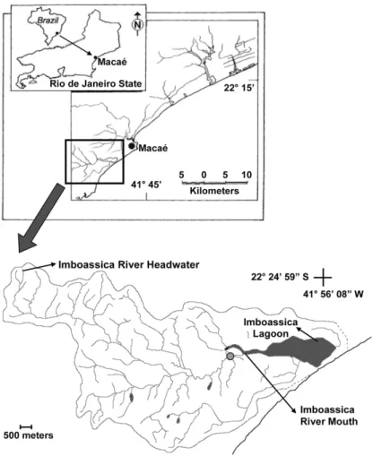 Figure  2. Sampling stations along the short-term  chronosequence in the Imboassica Stream.
