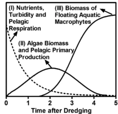 Figure  5.  Conceptual  model  for  catastrophic  shifts  in  water quality and metabolic rates after dredging in tropical  low-flow streams, including short-term trends for: (I) pelagic  respiration, nutrients and turbidity, (II) algae biomass and  pelagi