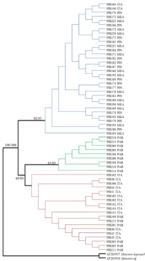 Table 2.  Results of the AMOVA for the populations of Pygocentrus nattereri obtained for the sequences of the mitochondrial  Control Region.