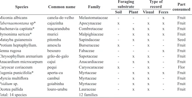 Table 3. Plant species consumed by Penelope superciliaris in the Araripe National Forest between November, 2011, and  October, 2012, based on visual records and the analysis of fecal samples
