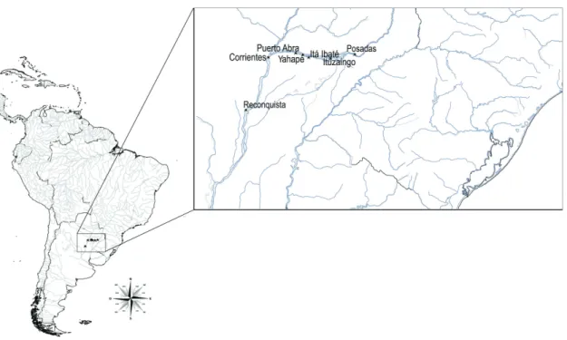 Figure 2. Karyotype of Iheringichthys labrosus, Giemsa  staining.