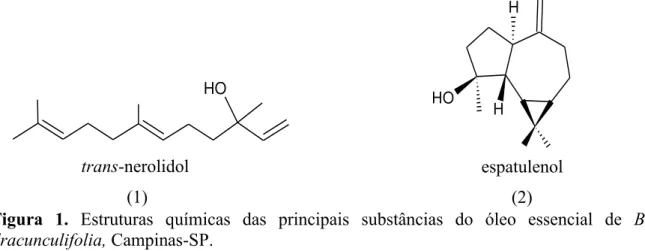 Figura  1.  Estruturas  químicas  das  principais  substâncias  do  óleo  essencial  de  B