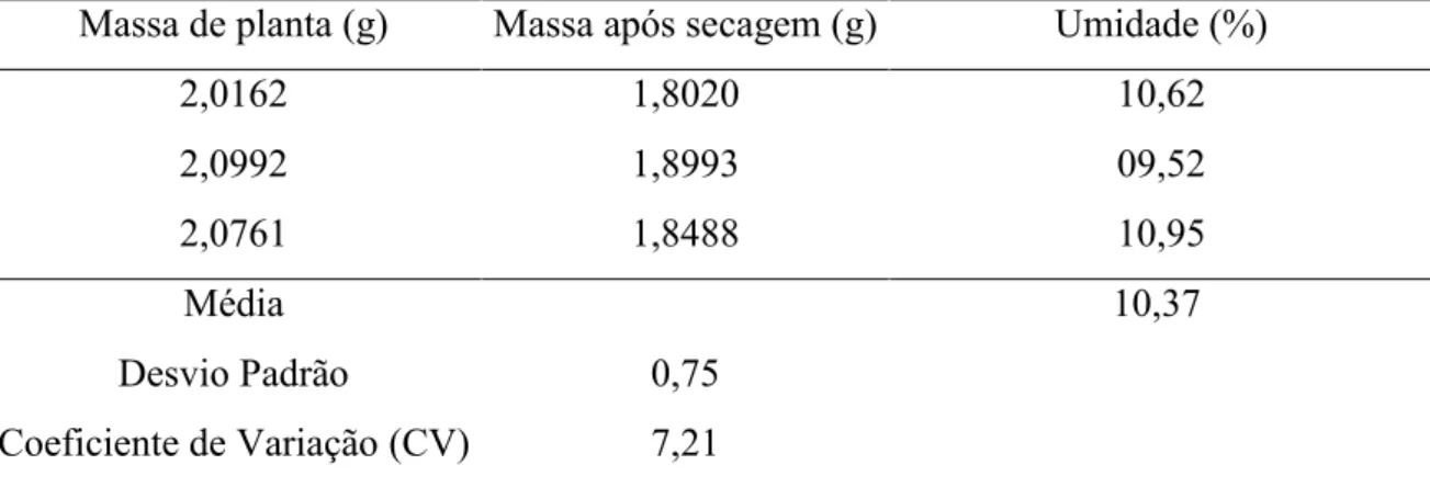 Tabela 8. Valores de massa das amostras para cálculo do teor de umidade das cipselas do  lote bruto, 2013