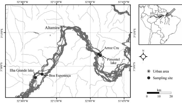 Figure 1. Study area in the middle Xingu River in Pará, in the eastern Brazilian Amazon basin.