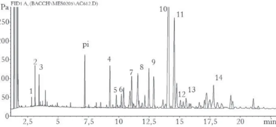Figura 11 – Perfil cromatográfico do óleo essencial de Baccharis dracunculifolia  por CG-DIC