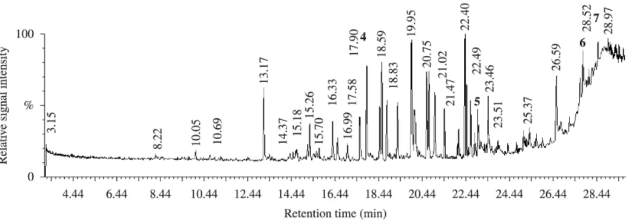 Figure 1. Total ion chromatogram with retention times from a filter sample collected in Hamburgo Velho