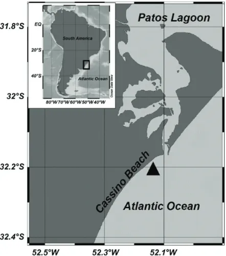 Figure 1.  Map of South America depicting Rio Grande do Sul State in southern Brazil. The star indicates the sampling  location of Mesodesma mactroides in Cassino Beach.
