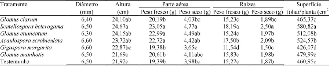 Tabela 2. Teores de nutrientes nas folhas de porta-enxertos de abacateiro (Persea sp.), submetidos à inoculação de seis espécies de fungos micorrízicos arbusculares na EEA da UFRGS, em Eldorado do Sul, dois meses após a inoculação (1) .