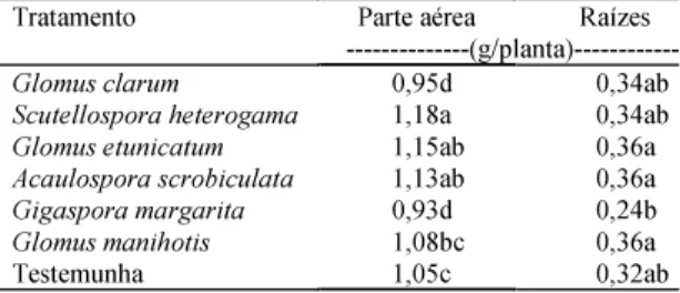 Tabela 4. Colonização do sistema radicular de porta-en- porta-en-xertos de abacateiro (Persea sp.), submetidos à inoculação de seis espécies de fungos micorrízicos arbusculares na EEA da UFRGS, em Eldorado do Sul, dois meses após a inoculação (1) .