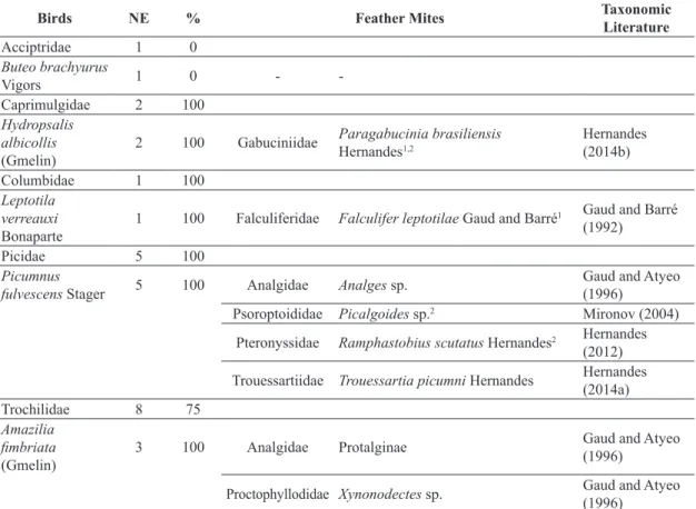Table 1. Associations between feather mites (Acari, Astigmata) and birds from Olho D’água Forest, Macaíba, Rio Grande  do Norte (RN), Brazil, examined between October 2011 and July 2012.