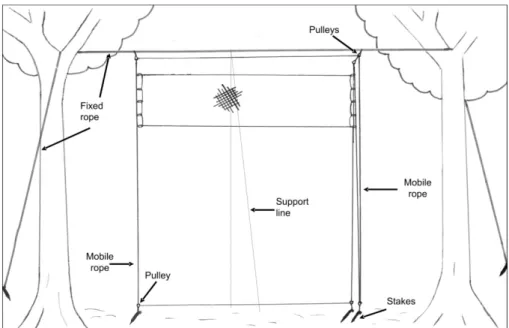 Figure 2. Schematic of an elevated net system in Atlantic Forest area at Ilha Grande, southeastern Brazil.