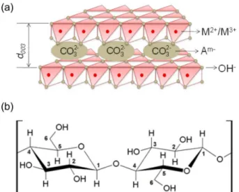 Figure 1. Representative structure of a layered double hydroxide  (LDH) (a) and bacterial cellulose (BC) (b)