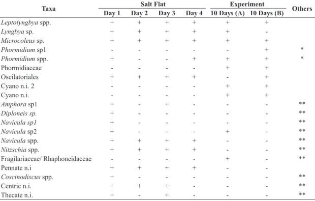 Table 1.  Presence (+) and absence (-) of the taxa identified during the desiccation and flood periods of sampling