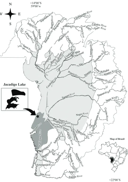 Figure 1. Study area: Pantanal, Mato Grosso do Sul, and map of Brazil with the Pantanal region highlighted in grey