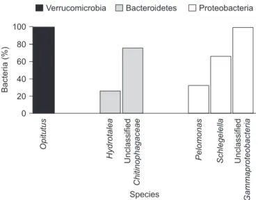 Fig. 1: Relative percentages of bacterial phyla associated with the sequences found on Nyssomyia neivai sandflies.