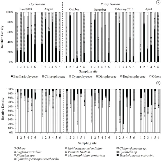 Figure 5. Relative density of phytoplankton classes (a) and descriptor species (b) in six sites in the Almada River during the  study period.