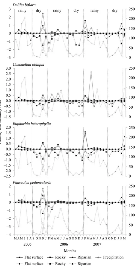 Figure 4. Precipitation, and monthly natality (solid line) and mortality (dashed line) rates of four herbaceous species at the  35 plots of flat, rocky and riparian microhabitats of a semiarid area in northeastern Brazil.