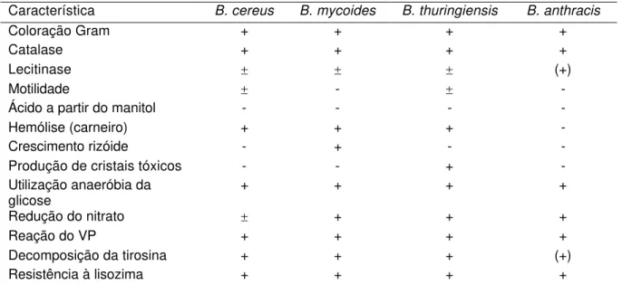 Tabela 1: Principais características utilizadas na diferenciação das espécies do grupo do Bacillus  cereus, segundo Harmon et al