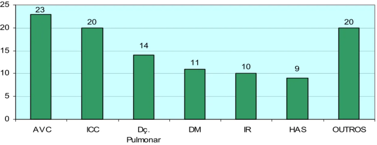 Gráfico  06.  Distribuição  do  Idoso  internado  no  hospital,  segundo  Diagnóstico  Clínico – SP, 2004 (n=107)
