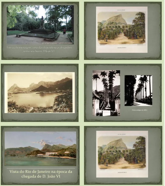 Figura 19. Ação de Sensibilização e Boas Práticas Ambientais “Jardim Botânico e o Arboreto”: História do  Jardim Botânico do Rio de Janeiro, Brasil