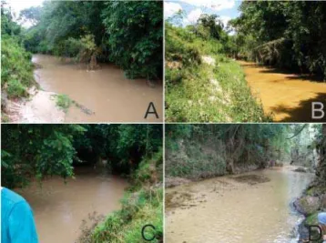 Figura 4 - Ponto de amostragem localizados na foz do Ribeirão  Monjolo Grande nos meses de fevereiro (A e C) e agosto (B e D)  em 2010