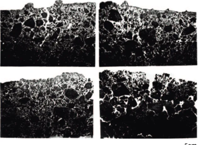 Figura 3. Fotografias em filme sensível ao UV de blocos polidos selecionados na parte superior das parcelas, eviden- eviden-ciando a porosidade (parte clara) e agregados (parte escura), além de pináculos formados por erosão e desenvolvimento de selamento s