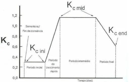 Figura 3. Curva dos coeficientes de culturais médios e definição dos períodos vegetativos  (Segundo Allen et al., 1998)