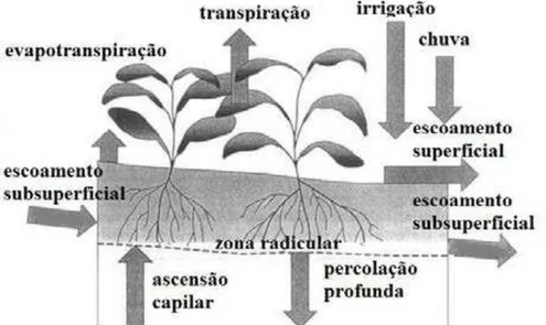 Figura 4. Balanço da água no solo na zona radicular (adaptado de Allen et al., 1998). 