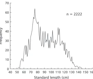 Fig. 1  Standard length frequency distribution of Pseudoplatystoma corruscans, measured from May 94 to May 95 in the fish landed in Cuiabá Fish Market.