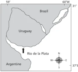 Fig. 1 — Sampling area of white croaker on Montevideo coast (34º56’S, 56º09’W) (arrow).