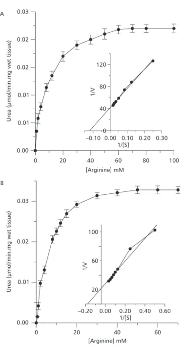 Fig. 1 — Substrate saturation curve of hepatic ARG of H. malabaricus  (A) and H. unitaeniatus (B)